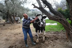 Depremzede Besicilere Devlet Desteği