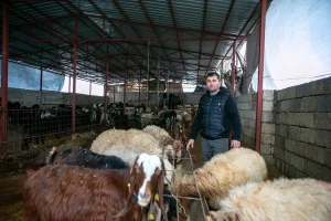 Depremzede Besiciye Devlet Desteği