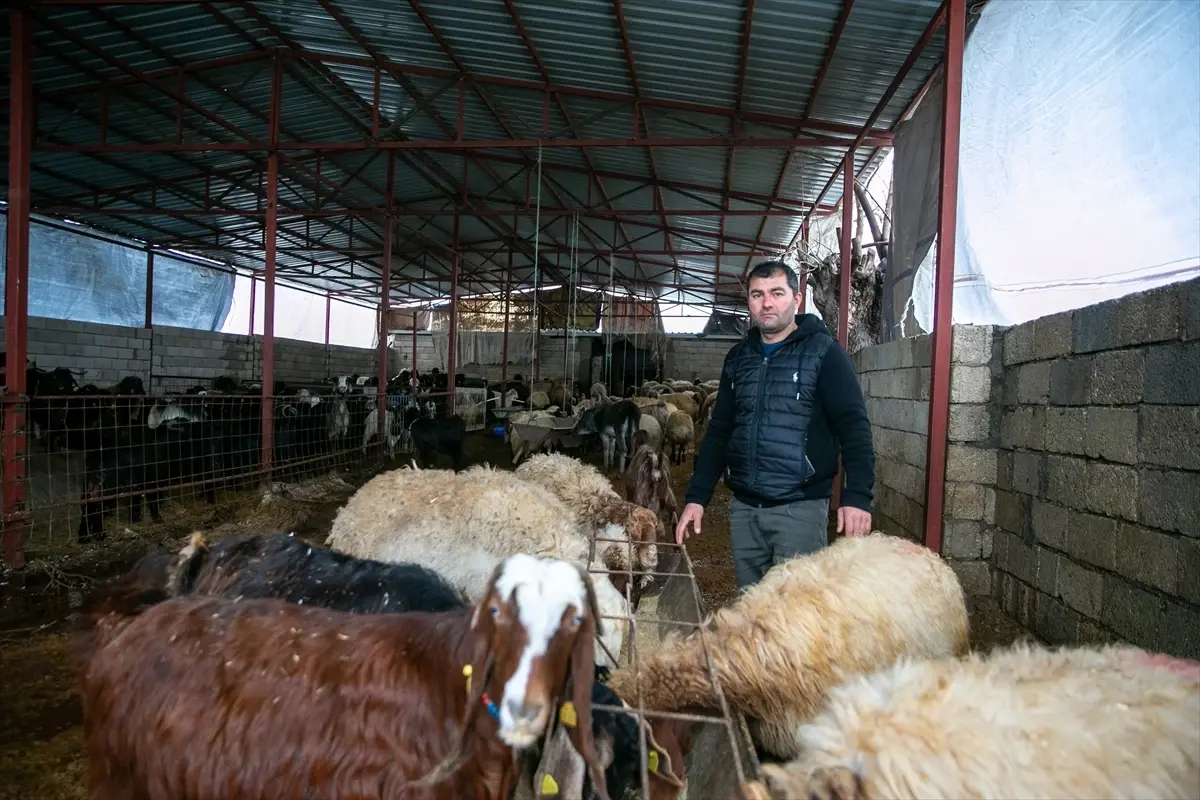 Depremzede Besiciye Devlet Desteği