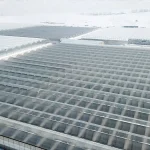 Diyadin’de Jeotermal İle Domates Üretimi