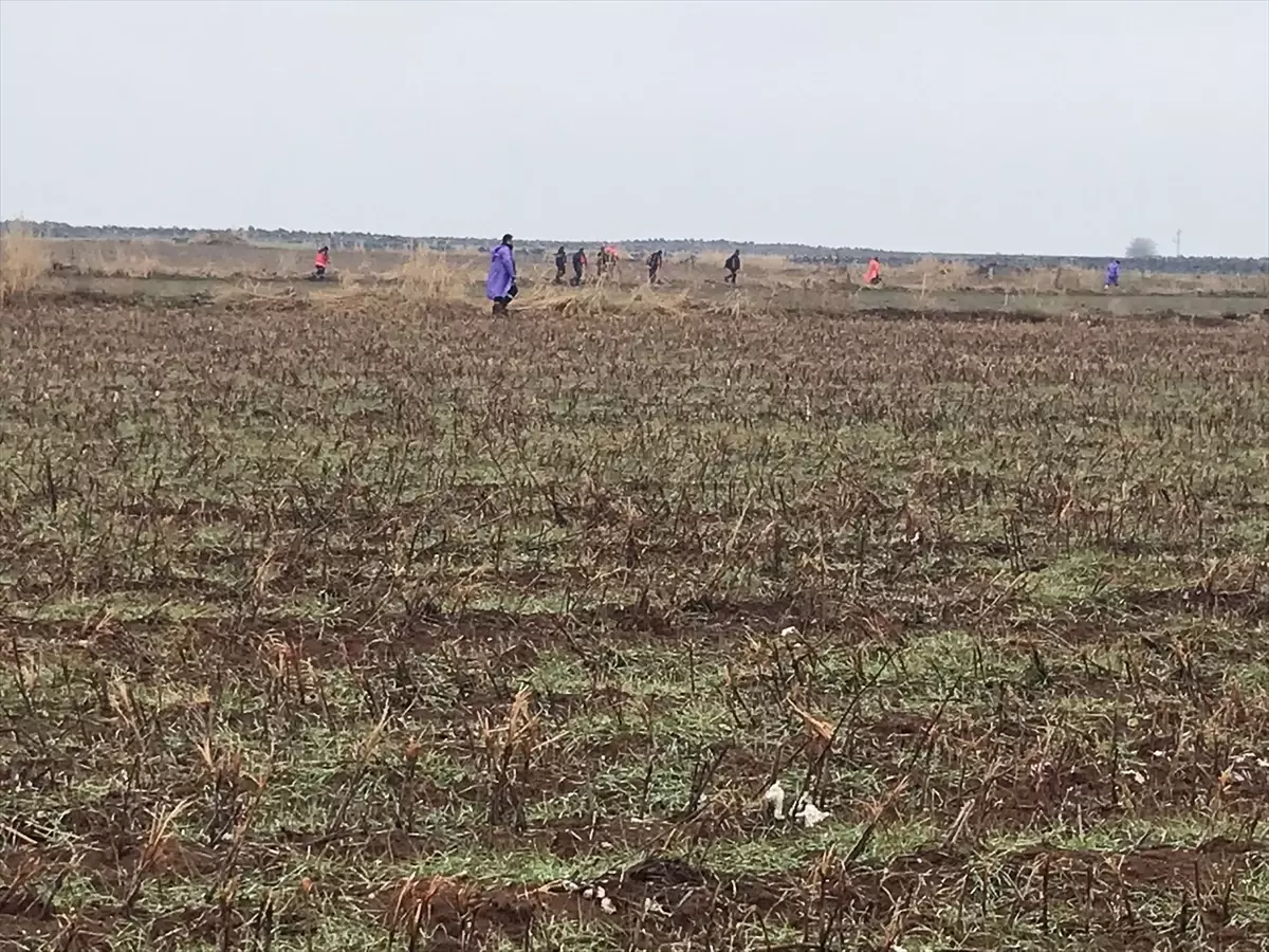 Diyarbakır’da Kaybolan Kadın İçin Arama Devam Ediyor