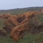 Diyarbakır’da Kaybolan Nimet Kılıç İçin Arama Çalışmaları Devam Ediyor