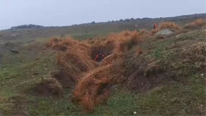 Diyarbakır’da Kaybolan Nimet Kılıç İçin Arama Çalışmaları Devam Ediyor