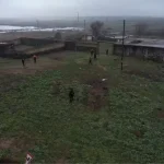 Diyarbakır’da Kaybolan Nimet Kılıç için Aramalar Devam Ediyor