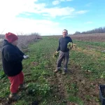 Edirne Çiftçileri Geleceği Toprağa Ekiyor