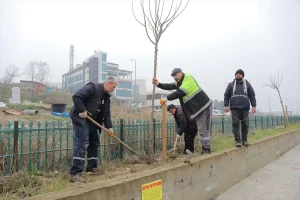 Edirne’de Yeşil Alan Çalışmaları Devam Ediyor