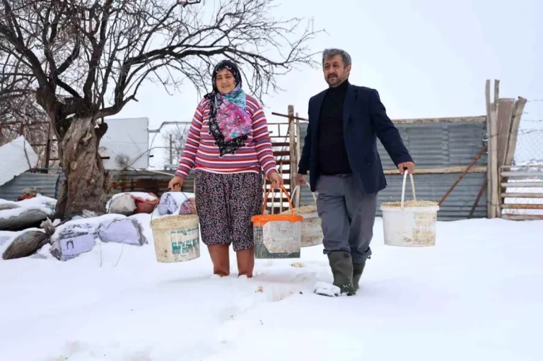 Elazığ’da Besiciler Dondurucu Soğuklarla Mücadele Ediyor
