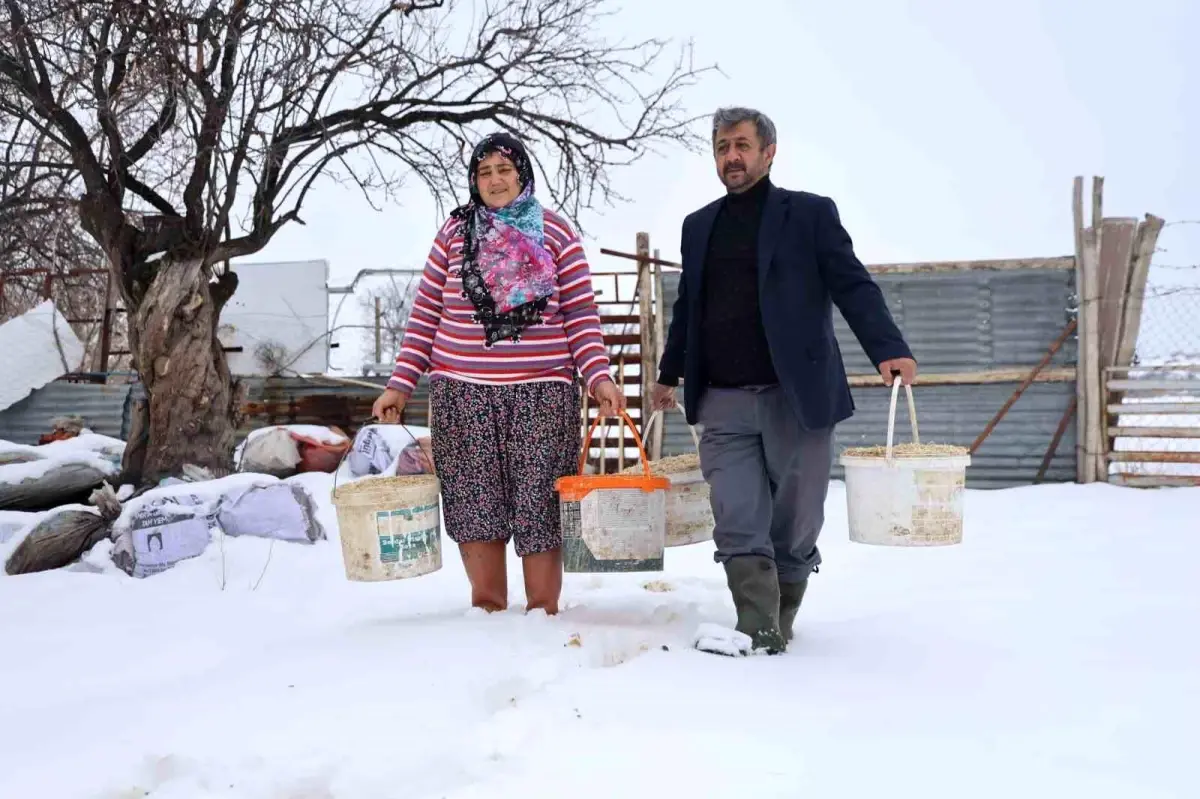 Elazığ’da Besiciler Dondurucu Soğuklarla Mücadele Ediyor