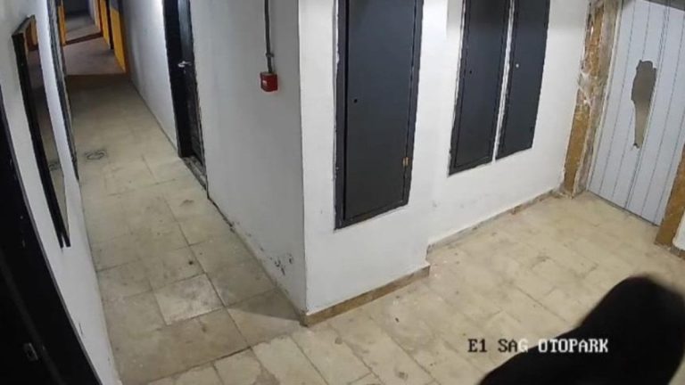 Elazığ’da güvenlik kameralarına saldırı kameraya yansıdı