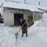 Elif Koca’nın Başarılı Manda Yetiştiriciliği