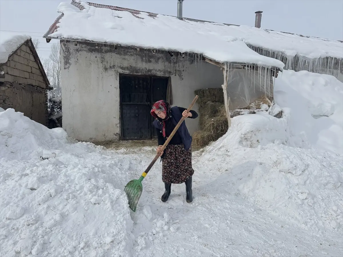 Elif Koca’nın Başarılı Manda Yetiştiriciliği
