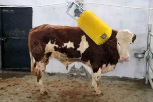 Erzincan’da 12 Tarım Projesine 121 Milyon TL Hibe