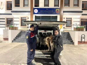 Gaziantep’te Sahte Para İle Dolandırıcılık