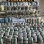 Gaziantep’te tırdan 121 kilo skunk çıktı