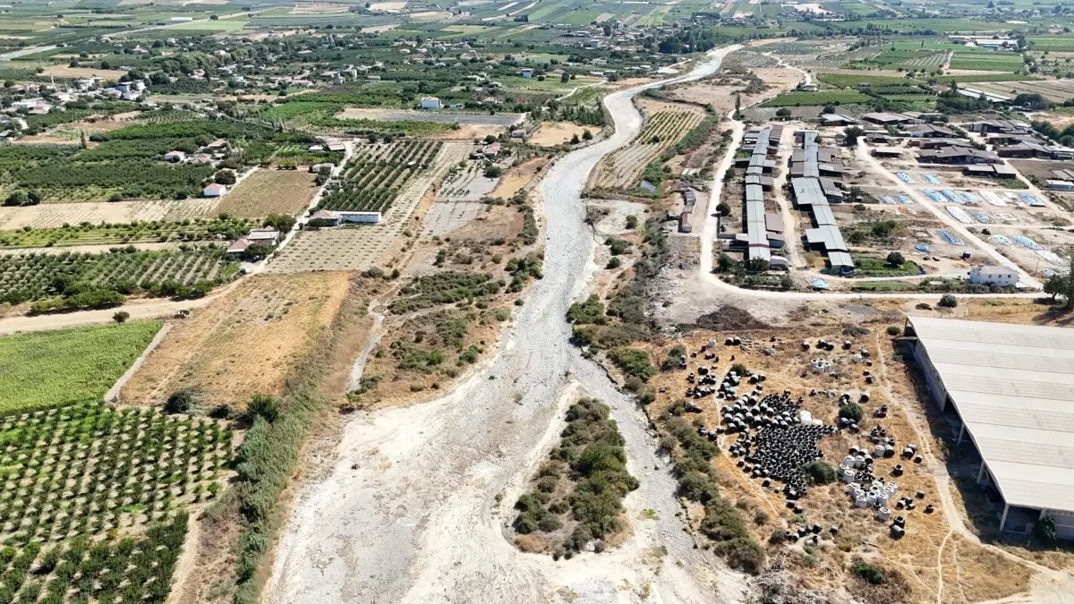 Gediz Nehri Yağışlarla Canlandı