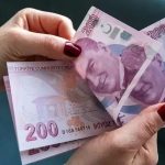 Gelir Tamamlayıcı Aile Destek Sistemi’nin detayları