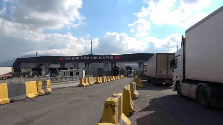 Habur Sınır Kapısı’nda Kaçakçılık Operasyonları