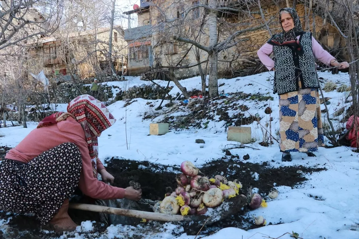 Hadim’de Geleneksel Sebze Muhafazası
