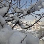 Hakkari’de kar yağışı etkisini sürdürüyor