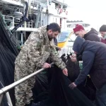 Hamsi Avında Beklentiler Karşılanmadı