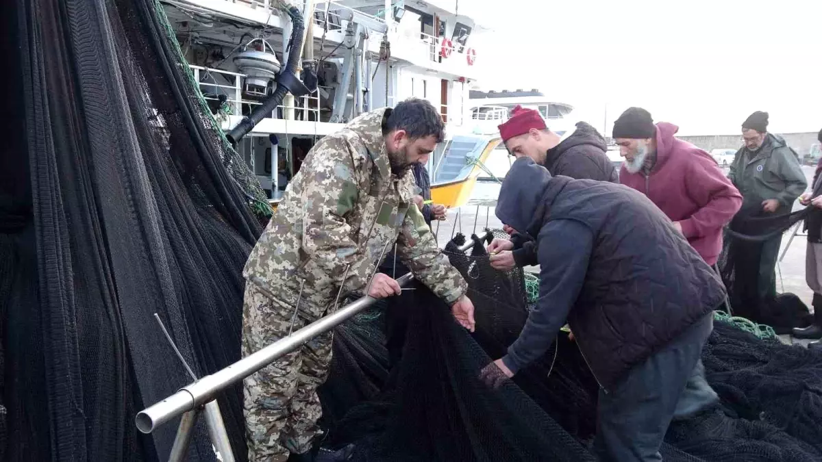 Hamsi Avında Beklentiler Karşılanmadı