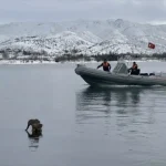 Hazar Gölü’nde Su Samuru Görüntülendi