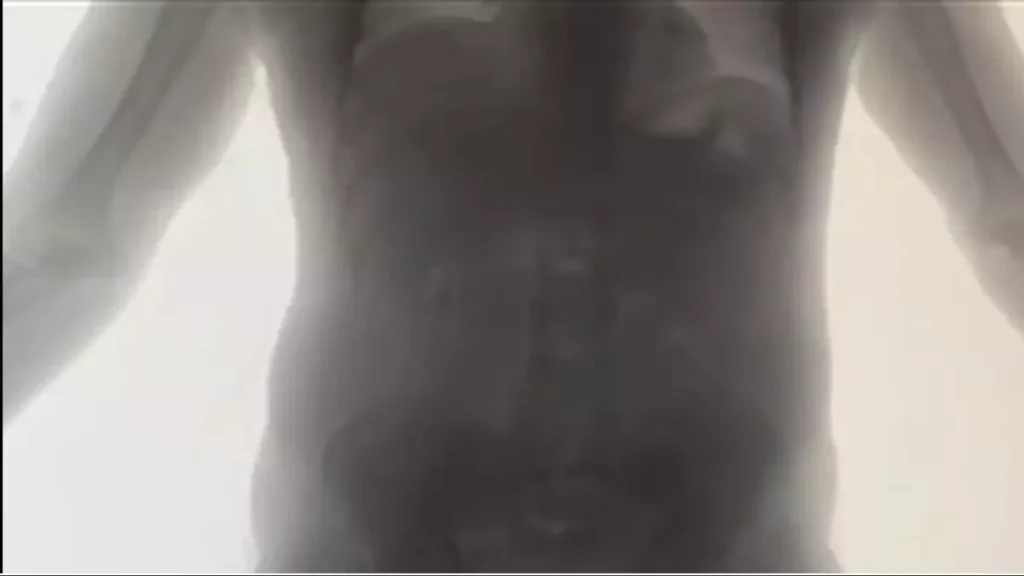 İstanbul Havalimanı’nda 30 Kg Uyuşturucu Ele Geçirildi