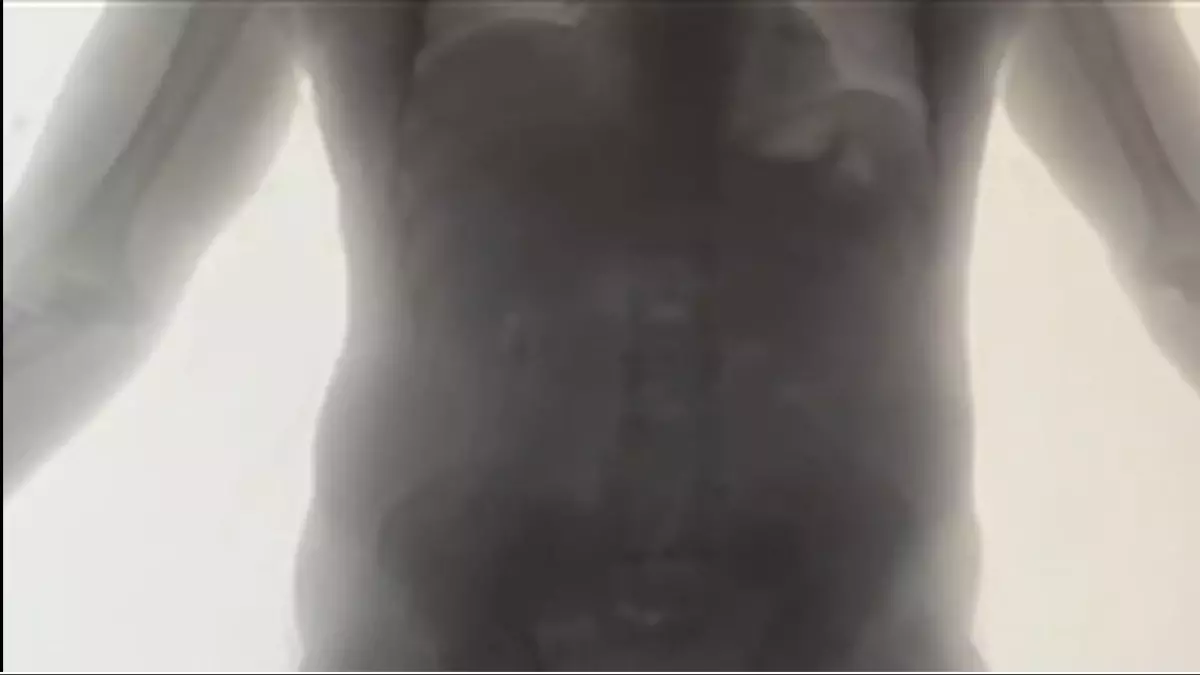 İstanbul Havalimanı’nda 30 Kg Uyuşturucu Ele Geçirildi