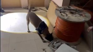 İstanbul’da uyuşturucu operasyonu