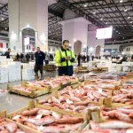 İzmir Su Ürünleri Hali 51 bin tonla rekor kırdı