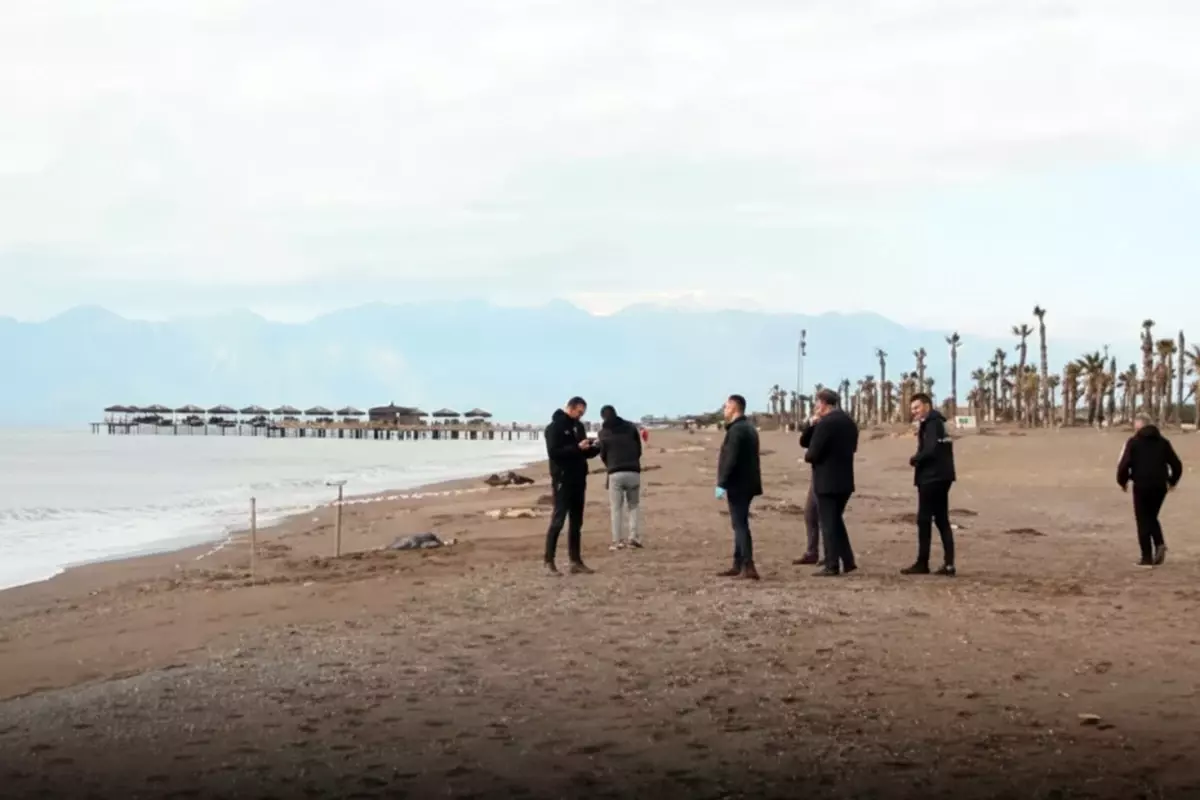 İzmir’de sahile vurmuş bir çocuk cesedi bulundu