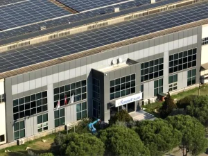 Jantsa’dan Açıklama: Soruşturma Yok