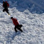 Japonya’da kar felaketi devam ediyor: Ölü sayısı 42’ye ulaştı