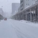 Japonya’da kar yağışı nedeniyle 45 kişi hayatını kaybetti