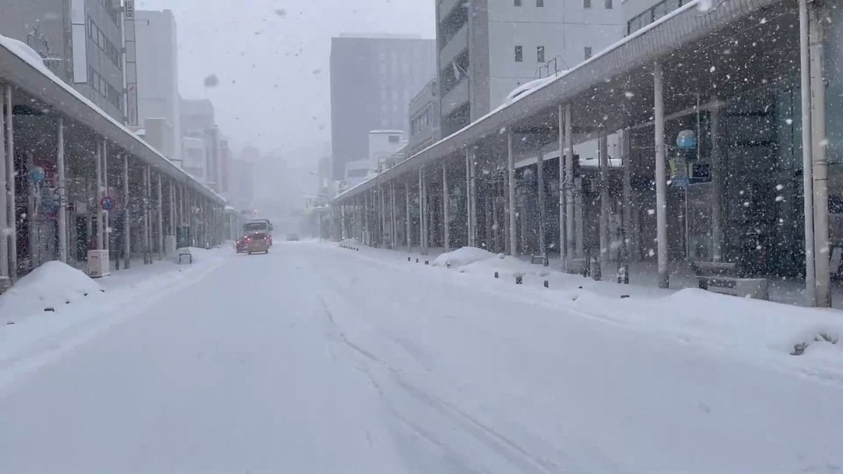 Japonya’da kar yağışı nedeniyle 45 kişi hayatını kaybetti