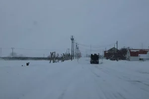 Japonya’da Kar Yağışı Sebebiyle 30 Ölü