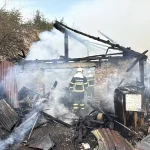 Karabük’te Yangın: 2 Köpek Hayatını Kaybetti