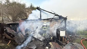 Karabük’te Yangın: 2 Köpek Hayatını Kaybetti