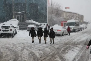 Karlıova’da Kar Yağışı Hayatı Olumsuz Etkiliyor