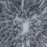 Kastamonu’da Kar Yağışı Etkili Oldu