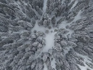 Kastamonu’da Kar Yağışı Etkili Oldu