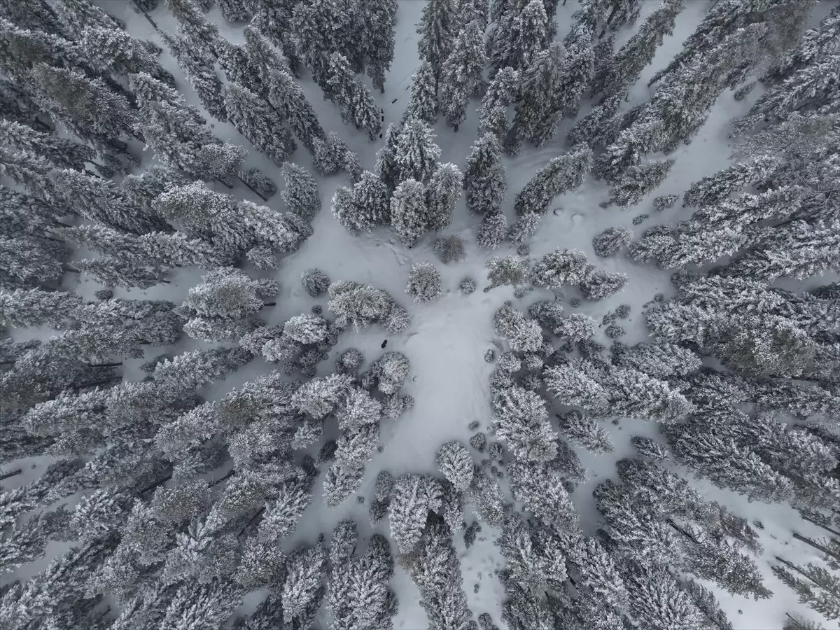 Kastamonu’da Kar Yağışı Etkili Oldu
