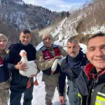 Kaybolan Kazlar Bulundu