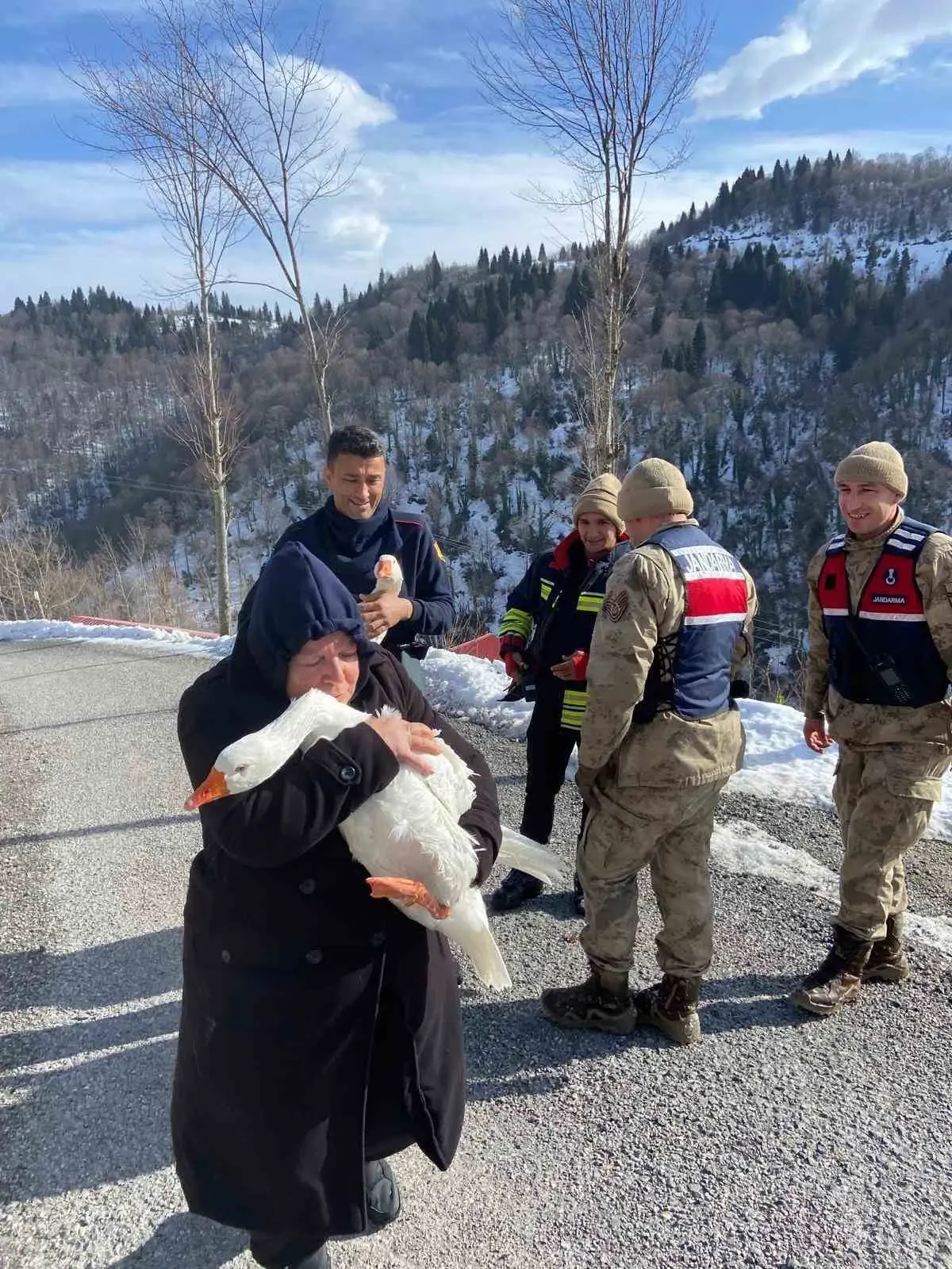 Kayıp Kazlar Bulundu