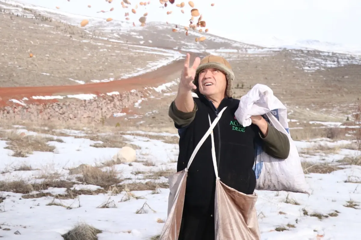 Kayseri’nin ‘Ağaç Dede’si 1 milyondan fazla fidanı toprakla buluşturdu