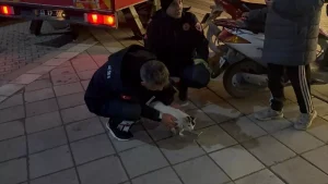 Kedi Balkonda Mahsur Kaldı