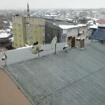 Kış Ortasında Leylek Sürüsü