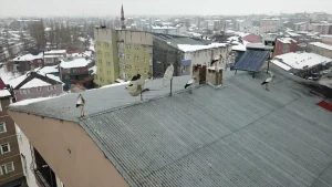 Kış Ortasında Leylek Sürüsü