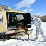 Köpek Eğitimleri Derin Kar ve Soğukta Yapıldı