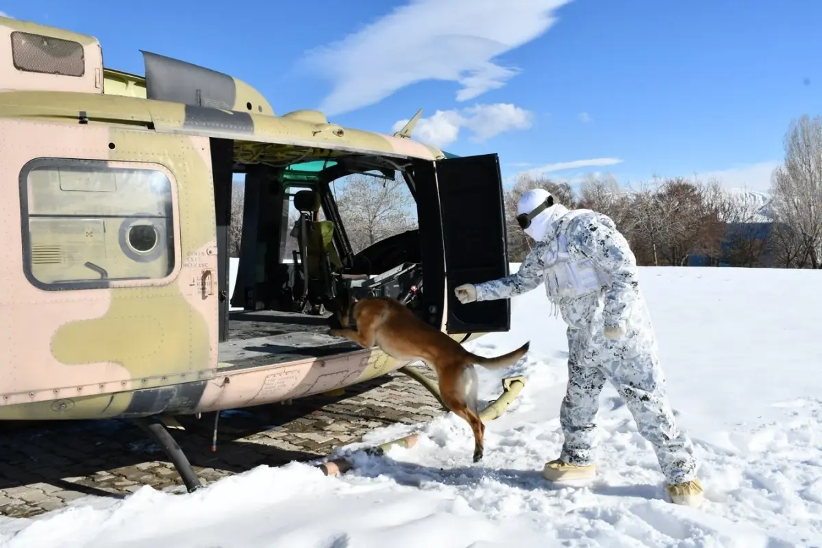 Köpek Eğitimleri Derin Kar ve Soğukta Yapıldı
